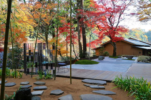 現(xiàn)代園林景觀設(shè)計(jì)中色彩運(yùn)用的藝術(shù)與科學(xué)