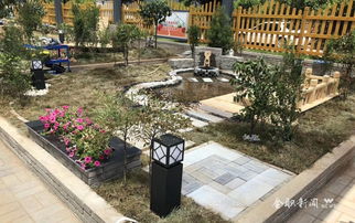 農(nóng)學(xué)學(xué)子勇奪2018國賽園林景觀設(shè)計(jì)與施工賽項(xiàng)一等獎